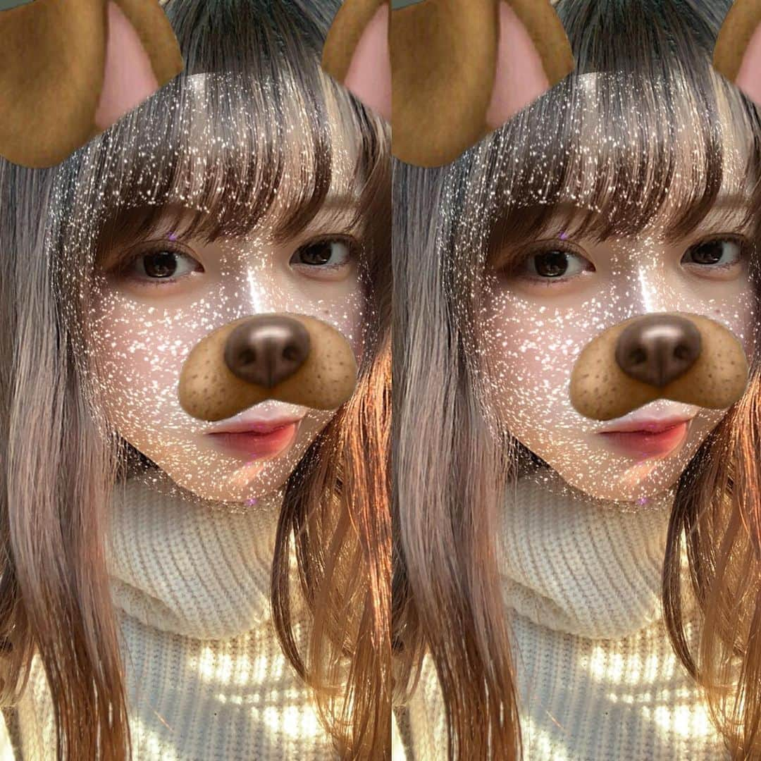 遠藤みゆのインスタグラム：「インスタのフィルターってなんでこんな盛れるんだろう、、、🐶🤎 . へへ、嬉しい☺︎ #ストーリー #エフェクト #しか勝たん #❤︎ #わんわん」