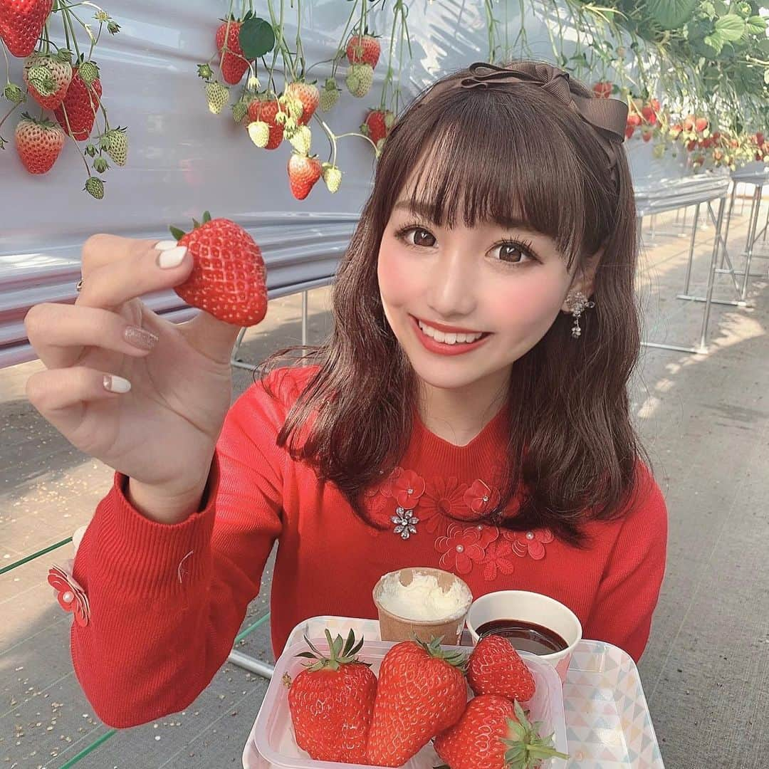 加藤里奈さんのインスタグラム写真 - (加藤里奈Instagram)「⋆  三重県四日市市にお邪魔しました～😊 みてこの、おっっっきないちご🍓 こんなに大きくて甘いいちごは初めて食べた😭 愛成ベリーさんほんとおすすめやからみんなチェックしてみてね❤︎ いちご狩り大好きすぎる、 大きくて甘いいちごに、濃厚なチョコソースとホイップをディップして 頂いたんやけど、美味しすぎてほっぺがおちました🤤🍓 チョコレートの味までめちゃおいしかった(笑) 苺の飲む酢や、特製コラボパフェもあったよ💭 また行きたいな～  そしてそのあとは 四日市ドームと四日市港ポートビルから夜景をみてきたよ😊 想像以上に綺麗だった～❤︎ 綺麗な夜景を一望できるので、デートにいいかも💭  ＊飲食時のみマスクを外しています。  @shiritaijo #三重県四日市市 #四日市 #愛成ベリー #いちご狩り #いちご #四日市ドーム #四日市港ポートビル #工場夜景 #しりたい嬢 #苺の飲む酢 #うみてらす14」2月20日 19時36分 - katoco0326