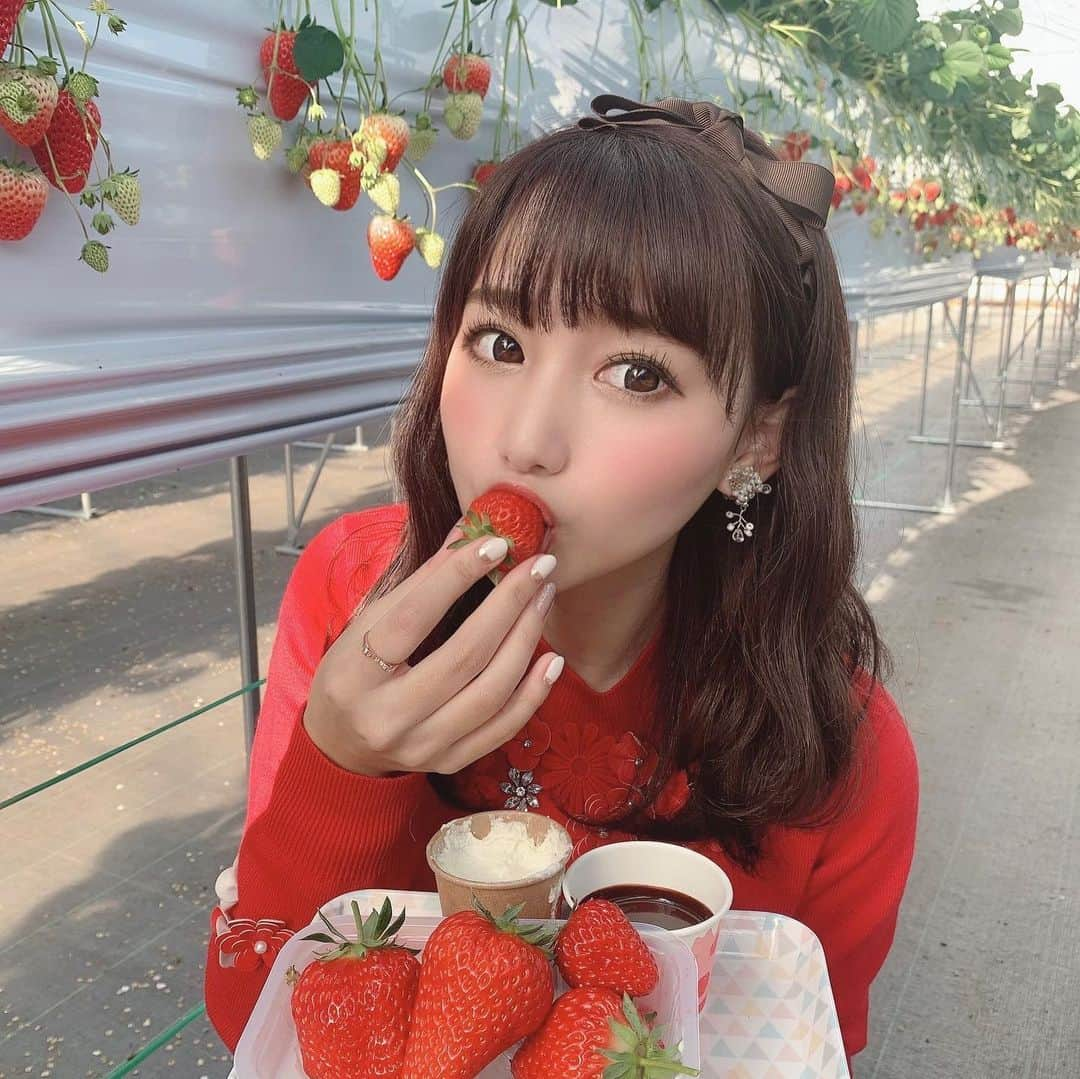 加藤里奈さんのインスタグラム写真 - (加藤里奈Instagram)「⋆  三重県四日市市にお邪魔しました～😊 みてこの、おっっっきないちご🍓 こんなに大きくて甘いいちごは初めて食べた😭 愛成ベリーさんほんとおすすめやからみんなチェックしてみてね❤︎ いちご狩り大好きすぎる、 大きくて甘いいちごに、濃厚なチョコソースとホイップをディップして 頂いたんやけど、美味しすぎてほっぺがおちました🤤🍓 チョコレートの味までめちゃおいしかった(笑) 苺の飲む酢や、特製コラボパフェもあったよ💭 また行きたいな～  そしてそのあとは 四日市ドームと四日市港ポートビルから夜景をみてきたよ😊 想像以上に綺麗だった～❤︎ 綺麗な夜景を一望できるので、デートにいいかも💭  ＊飲食時のみマスクを外しています。  @shiritaijo #三重県四日市市 #四日市 #愛成ベリー #いちご狩り #いちご #四日市ドーム #四日市港ポートビル #工場夜景 #しりたい嬢 #苺の飲む酢 #うみてらす14」2月20日 19時36分 - katoco0326