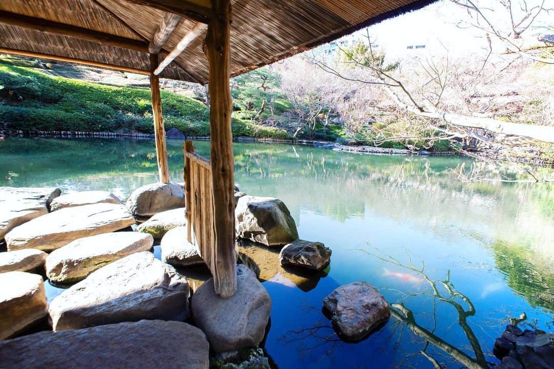 八芳園さんのインスタグラム写真 - (八芳園Instagram)「日本庭園に広がる大きな池。 . その昔、この付近の丘陵地帯に沼があり、 そこから流れていた川の跡を池にしたものです。 . 池の上に佇む「水亭」の天井には 水面に反射した陽の光が揺らめきます。 . 足元に広がる池を泳ぐ鯉を間近に見ながら、 風を浴び、その音を聴く穏やかな時間。 . 都心 港区白金台の八芳園で、 日常を忘れるひとときをお過ごしください。」2月20日 19時46分 - happoen