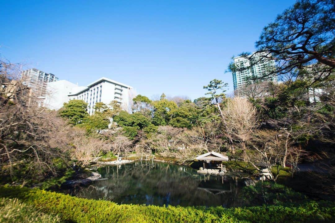 八芳園さんのインスタグラム写真 - (八芳園Instagram)「日本庭園に広がる大きな池。 . その昔、この付近の丘陵地帯に沼があり、 そこから流れていた川の跡を池にしたものです。 . 池の上に佇む「水亭」の天井には 水面に反射した陽の光が揺らめきます。 . 足元に広がる池を泳ぐ鯉を間近に見ながら、 風を浴び、その音を聴く穏やかな時間。 . 都心 港区白金台の八芳園で、 日常を忘れるひとときをお過ごしください。」2月20日 19時46分 - happoen