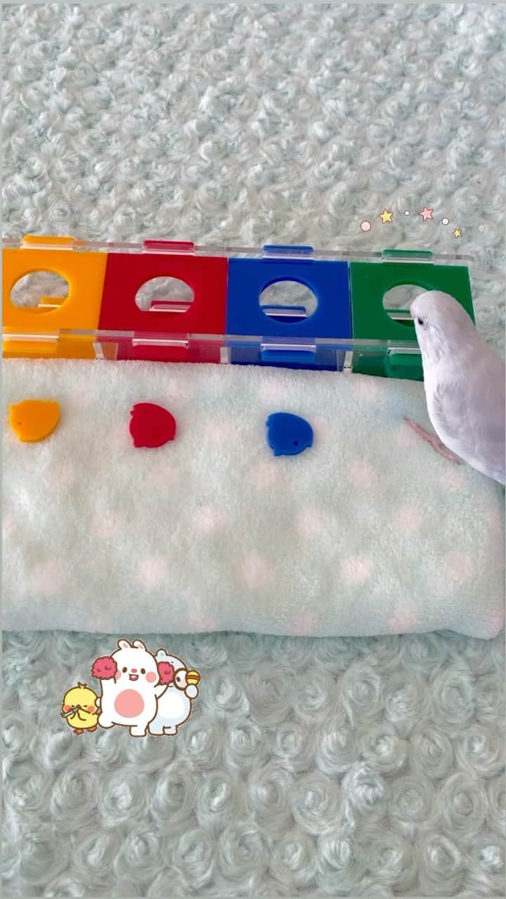 SAORIのインスタグラム