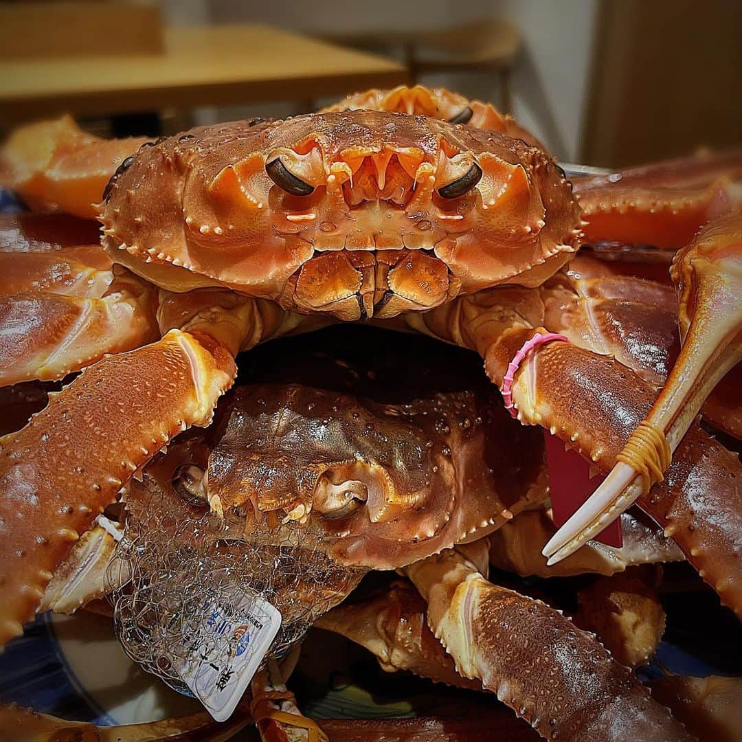 堀江貴文のグルメインスタ