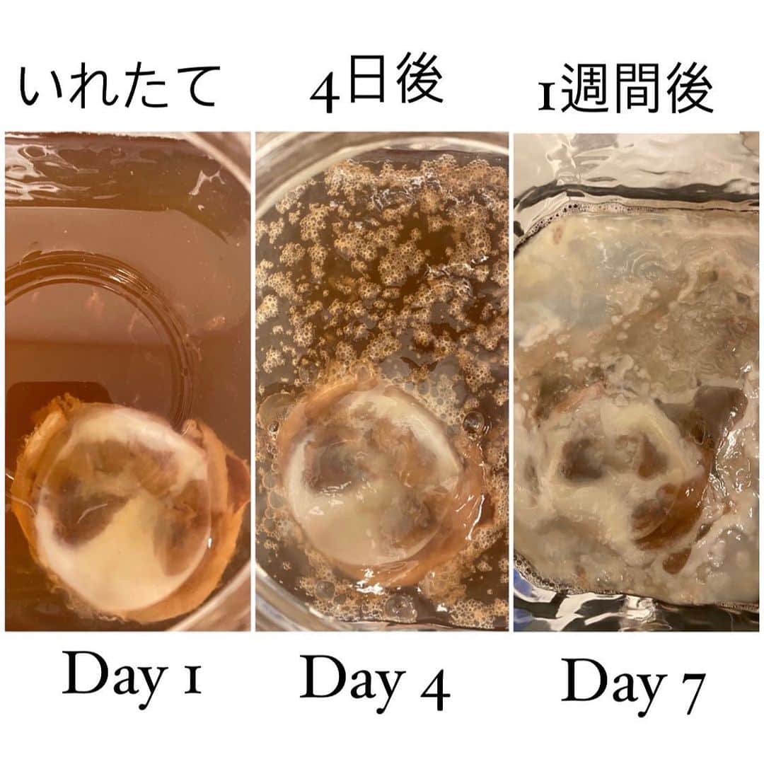 大野南香さんのインスタグラム写真 - (大野南香Instagram)「* 【KOMBUCHA】 I finally tried making my own KOMBUCHA!!! Kombucha is a fermented, lightly effervescent, sweetend tea drink. It is produced by fermenting sugared tea using "SCOBY", which is a "symbiotic culture of bacteria and yeast". The scoby bacteria and yeast eat most of the sugar in the tea, then transforming the tea into a refreshingly fizzy, slightly sour fermented beverage that is relatively low in sugar and has lots of benefits for your health even though it tastes like softdrinks! The ingredients are so simple (only your choice of tea and sugar, and scoby), but you should carefully take care of scoby with lots of love. It was in the US where I first tried kombucha, and I was not a big fan of it. But after trying the home-made kombucha at my friend's house (the first pic), I was soooo surprised and impressed by the taste that I am now actually making my own one!!! Now, fortunately, you can easily get a bottle of kombucha without making it on your own❤︎ ︎︎﻿ ︎︎﻿☺︎︎﻿ ︎︎﻿ ︎︎﻿☺︎︎﻿ ︎︎﻿ ︎︎﻿☺︎︎﻿ 【コンブチャ】 コンブチャはお茶を発酵させたドリンク。初めて飲んだのはアメリカにいた時だけど、その時は「健康に良さそう」っていう印象だった、、、お友達のお家で手作りのコンブチャを飲んだ時、美味しすぎてびっくりして自分でも挑戦してみた☺️ 最初はスコビー(紅茶きのこ)ちゃんが元気なくて不安だったけど、ちゃんとエサとなる糖分を加えて、室温まで下げて、毎日愛情を込めて見守っていたら、成功した！！！すごくうれしい〜 見た目は最初は奇妙に見えるかもしれないけど、酸味と甘みのバランスが絶妙で、とてもおいしい。ソフトドリンク感覚で、happyに飲める。なのに発酵飲料で腸内環境を良くしてくれて、身体にも嬉しい。 お家で作れなくても、今じゃ簡単にボトルが買えるようになった☺️幸せや！  #everydayhappy ︎︎﻿ ︎︎﻿☺︎︎﻿  #kombucha #コンブチャ」2月20日 19時58分 - minaka_official