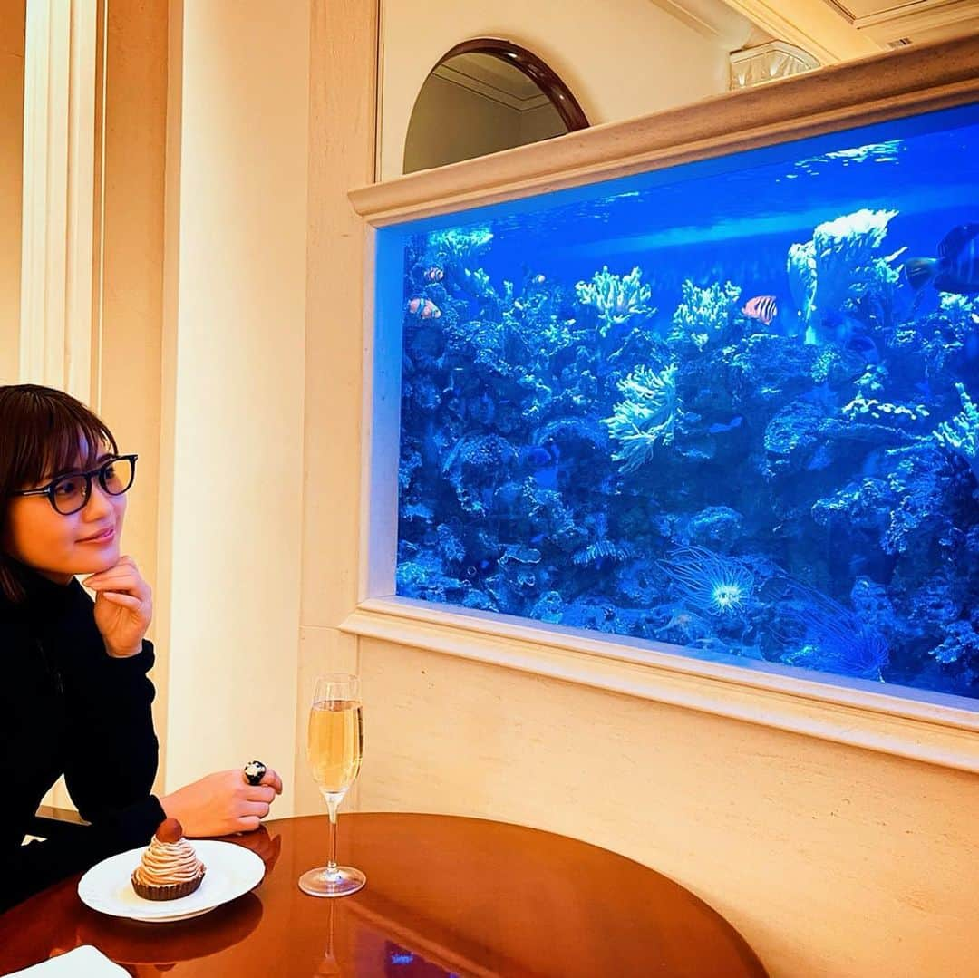 秋吉織栄（宮内かれん）さんのインスタグラム写真 - (秋吉織栄（宮内かれん）Instagram)「たまには魚に癒されたい🐠💕  友人が熱帯魚と海水魚の違いが分かってなかったので 金魚屋の娘として説明しました🐟✨笑  #クリスタルカフェ  #銀座カフェ   #2021  #織栄組  #織栄組サポーター  #組員募集中  #おりおり  #クロオリちゃん  #コロナウイルスが早く終息しますように  #コロナに負けるな  #静岡  #役者  #女優 #japanesegirl #応援よろしくお願いします」2月20日 20時10分 - orie.oliiiiie.olivia