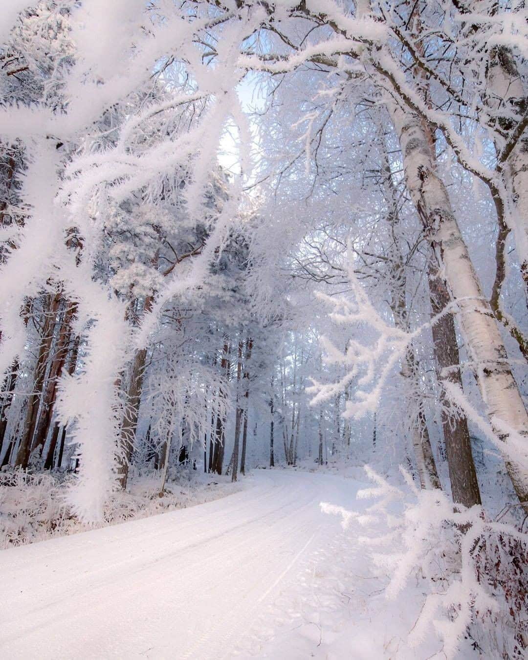 9GAGさんのインスタグラム写真 - (9GAGInstagram)「Winter in Finland ❄️ Follow @voyaged for more winter wonderlands around the 🌍 - 📷 @jukkarisikko - #voyaged #finland #9gag」2月20日 20時30分 - 9gag