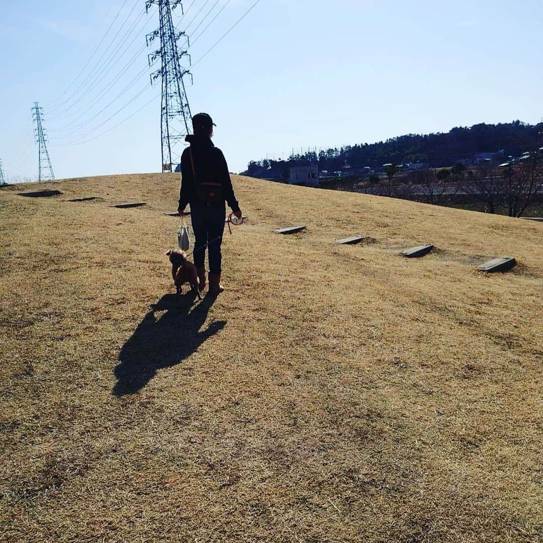 アクア新渡戸さんのインスタグラム写真 - (アクア新渡戸Instagram)「いつかのお散歩🐕  めちゃくちゃ天気良くて風もなく最高✨  愛犬も大喜び💓💞   #愛犬とお散歩 #のどかな場所  #コロナ忘れる時間」2月20日 20時31分 - amiaquanitobe