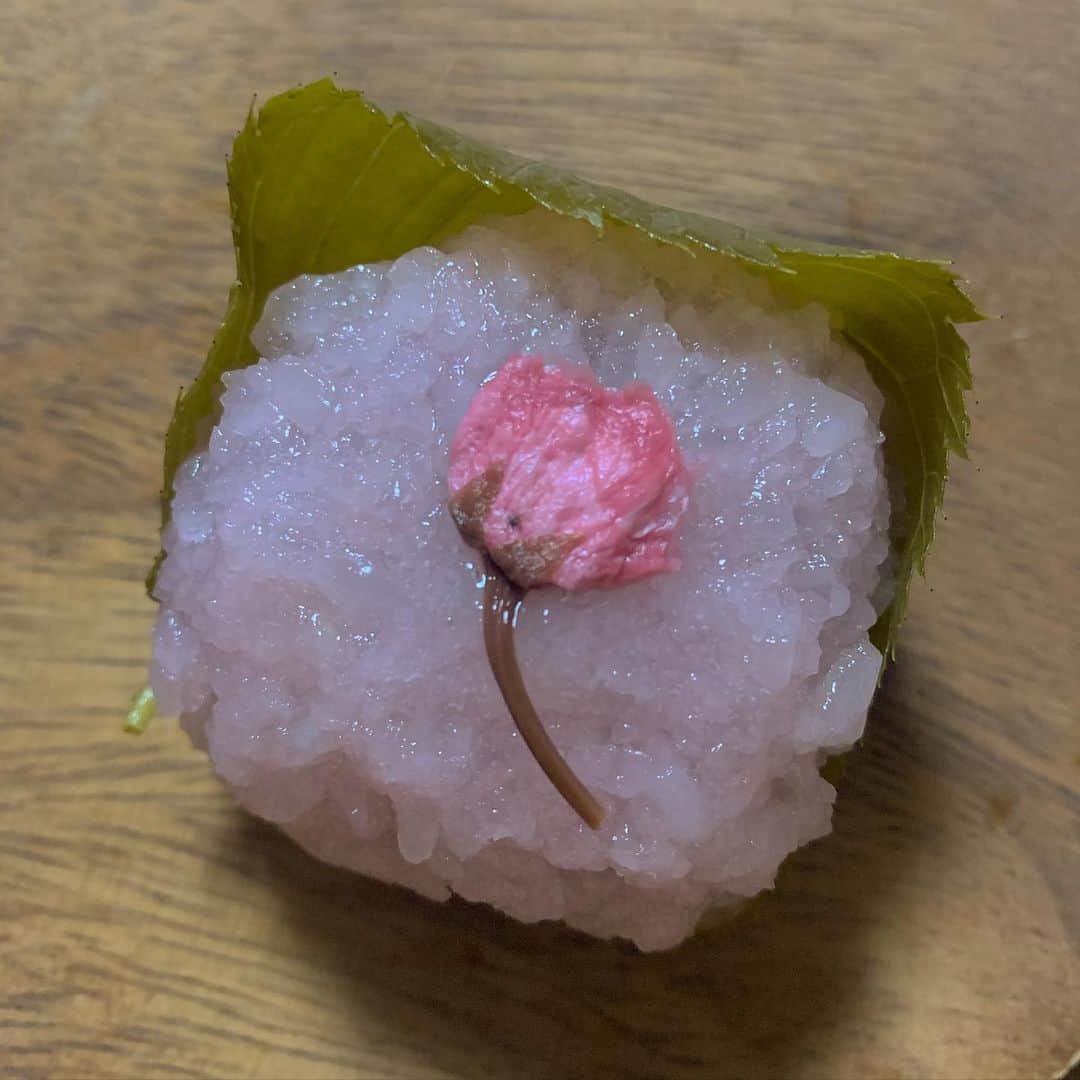 T͟o͟m͟o͟m͟i͟ S͟a͟t͟o͟さんのインスタグラム写真 - (T͟o͟m͟o͟m͟i͟ S͟a͟t͟o͟Instagram)「. 春はまだかな. 桜餅ってかわいい~ 봄은 아직일까? 봄을 기다리고 있습니다」2月20日 20時23分 - moumiii.03.30