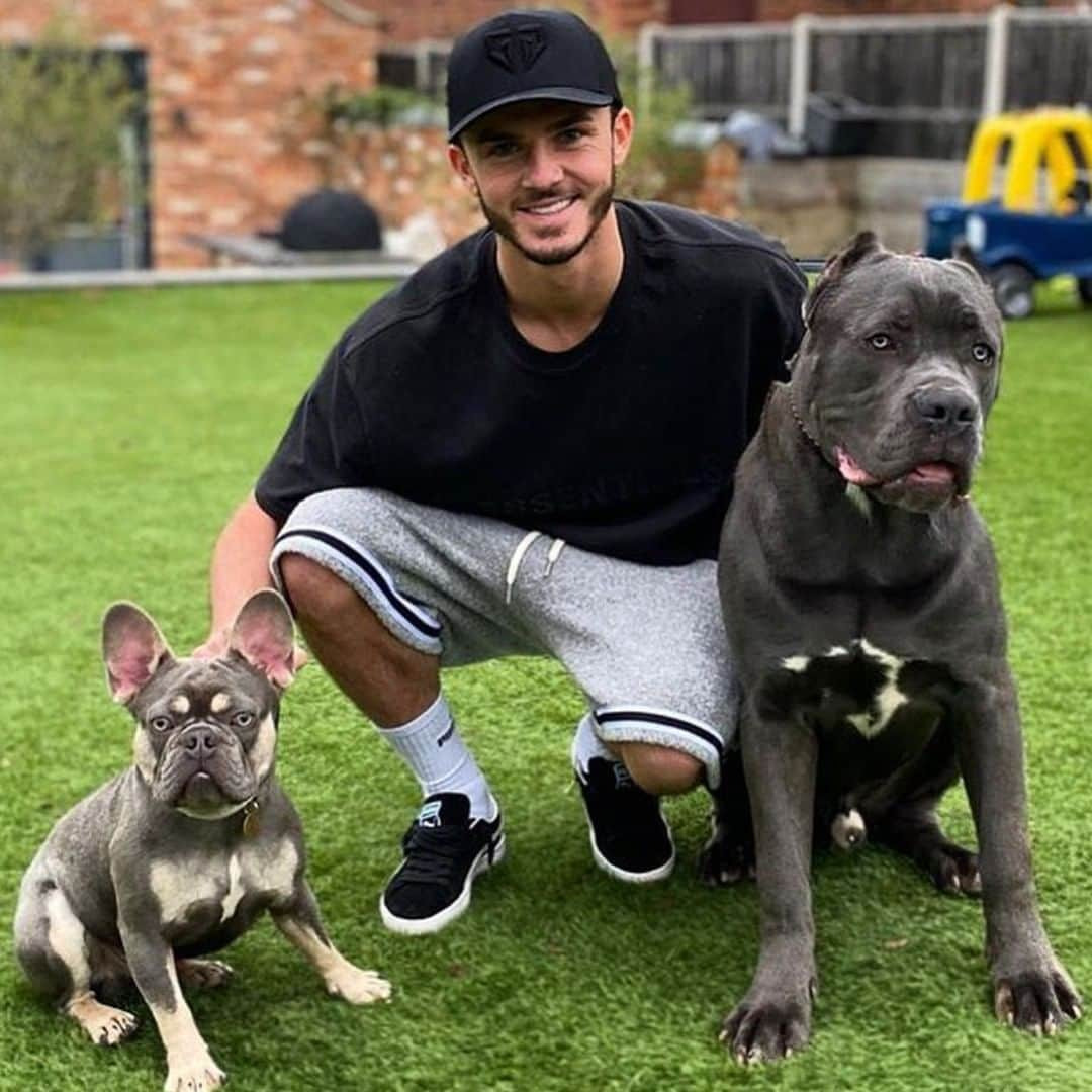 レスター・シティFCさんのインスタグラム写真 - (レスター・シティFCInstagram)「It's #LoveYourPetDay! 🐶  #lcfc」2月20日 20時39分 - lcfc