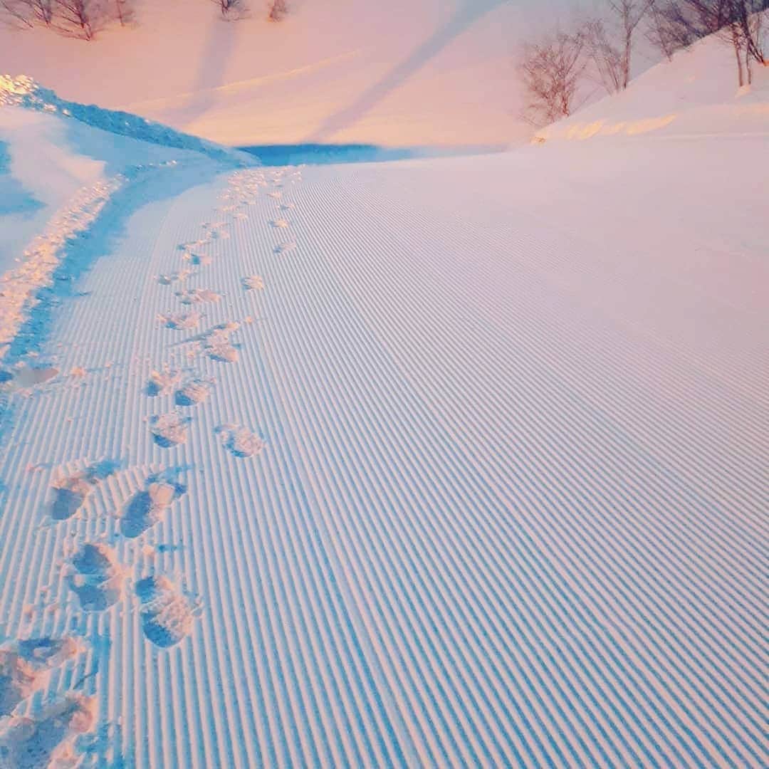栂池高原スキー場さんのインスタグラム写真 - (栂池高原スキー場Instagram)「おはようございます‼️朝イチレポートです。 気温3℃　天候は晴れです。 本日は少し風が強いですが、暖かく圧雪バーンも綺麗にかかっております！  御来場お待ちしています。 https://www.tsugaike.gr.jp/  #栂池 #栂池高原スキー場 #tsugaike #栂池自然園 #白馬つがいけwow　スノーwow #高山植物 #栂池自然園　#栂池高原　 #北アルプス　#後立山連峰 #白馬 #白馬連峰 #青空 #スキー　#スノボ　#冬山 #greenseason #summer #trecking #hakuba #hiking #mountain #flowers #tsugaike #tsugaikekogen #bluesky　#小谷村 #長野 #美しい場所」2月21日 6時57分 - tsugaike_kogen