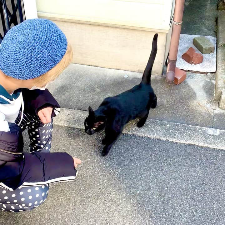 越野翔子のインスタグラム：「お散歩中に 猫さんに遭遇。 名前はクロちゃん。 ジブリっぽい。 いや、実にジブっている。  …私は…猫アレルギーです。  #クロネコ #散歩始めました #ニャオ #鳴き声かわいい  #ねこ」