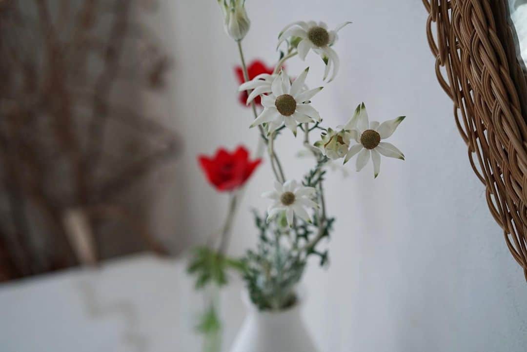 のインスタグラム：「お花のある暮らし🌹」