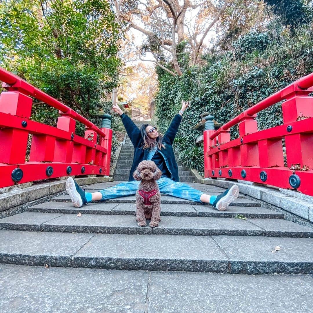 藤井アルダのインスタグラム