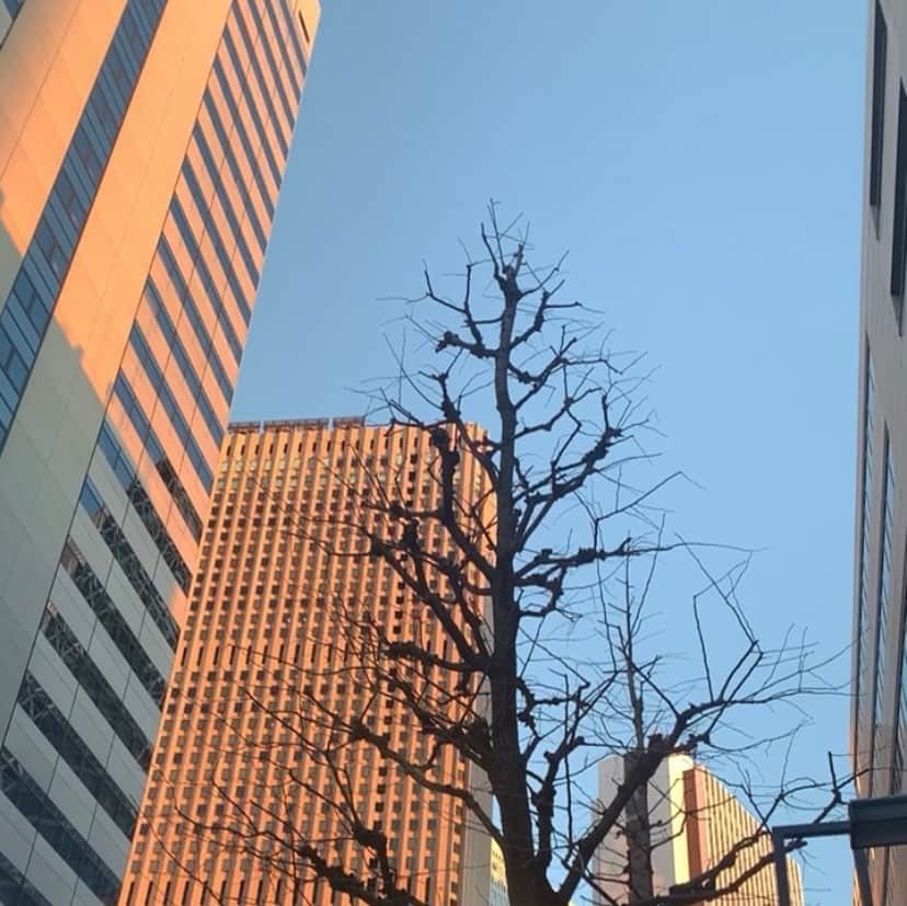 西村瑠香のインスタグラム
