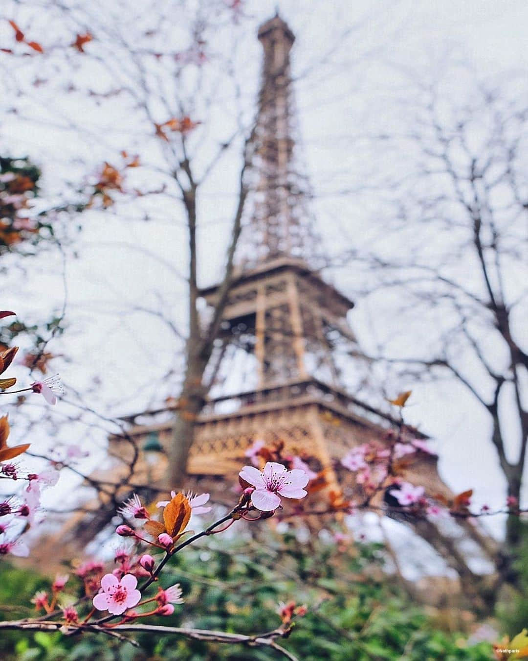 nathparisのインスタグラム：「SPRING IS IN THE AIR 🌸 . Have a nice weekend 💛」