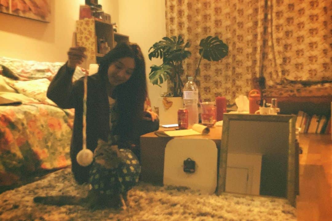 soy kimのインスタグラム：「놀러와서 집주인 된 10년차 집사의 위엄을 보라」