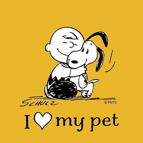 スヌーピーのインスタグラム：「Love is having a pet by your side #NationalLoveYourPetDay」