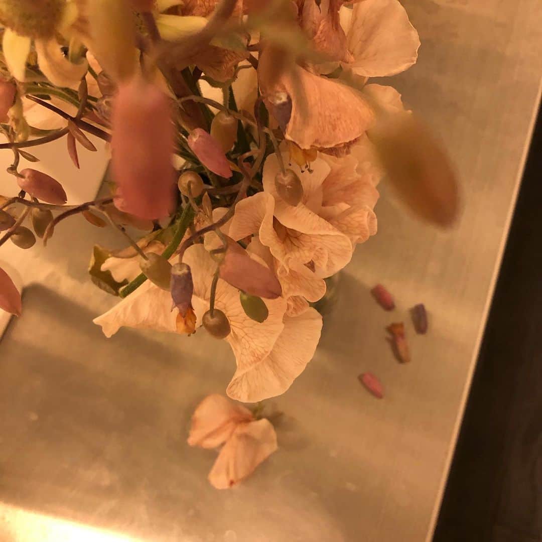 いとうせいこうのインスタグラム：「活けた切り花を上から撮ったとこだが、数日前のこと、落ちた蕾をつかんだらひとつだけが同じ色のイモ虫だった。夢のような本当のことだ。」