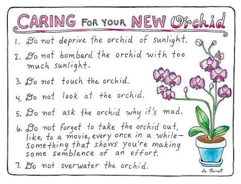 The New Yorkerさんのインスタグラム写真 - (The New YorkerInstagram)「Orchid parenting made easy. #NewYorkerCartoons 🖋 @drawingolive」2月21日 0時15分 - newyorkermag