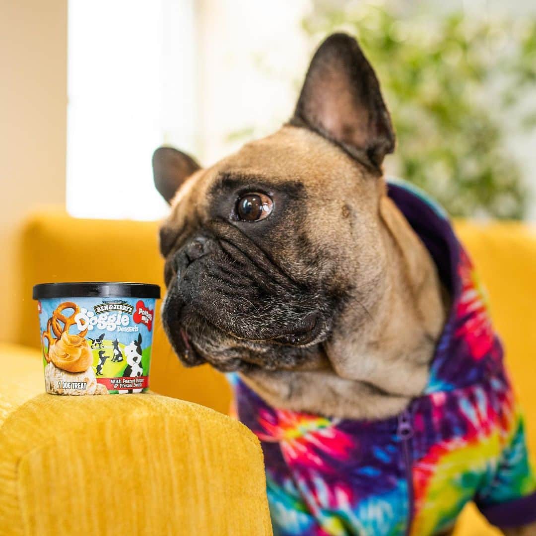 Ben & Jerry'sさんのインスタグラム写真 - (Ben & Jerry'sInstagram)「It's #NationalLoveYourPetDay! ❤️ (As if you needed a special day to tell your dog how much you 'ruff' them.) Make their day with new Doggie Desserts. Link in bio!」2月21日 1時02分 - benandjerrys