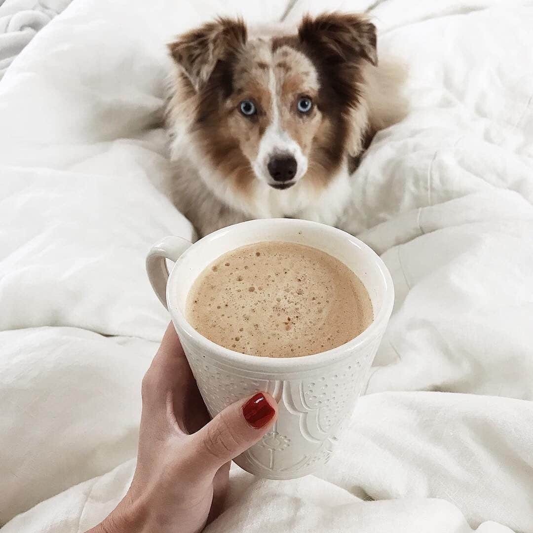 The Little Marketのインスタグラム：「The perfect way to start the day? A cozy cup of coffee with a furry friend. We're taking a page out of @eatsleepwear's book.  ⠀⠀⠀⠀⠀⠀⠀⠀⠀ Tap to shop our back-in-stock ceramic mug shown here!」