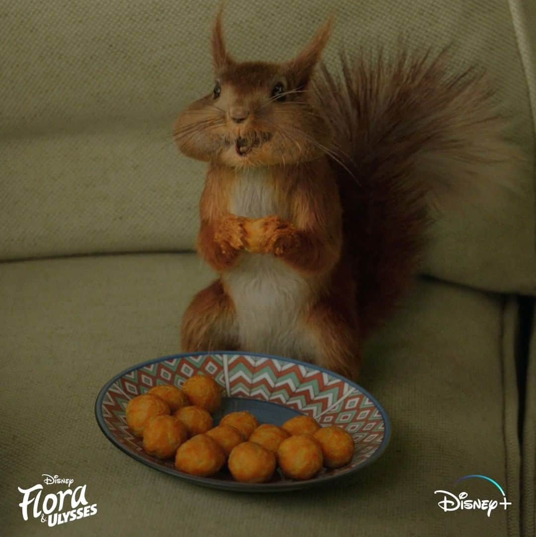 Walt Disney Studiosのインスタグラム：「Grab your favorite treats and snacks 🍿🥜🍭 and head over to watch #FloraAndUlysses, now streaming on #DisneyPlus」