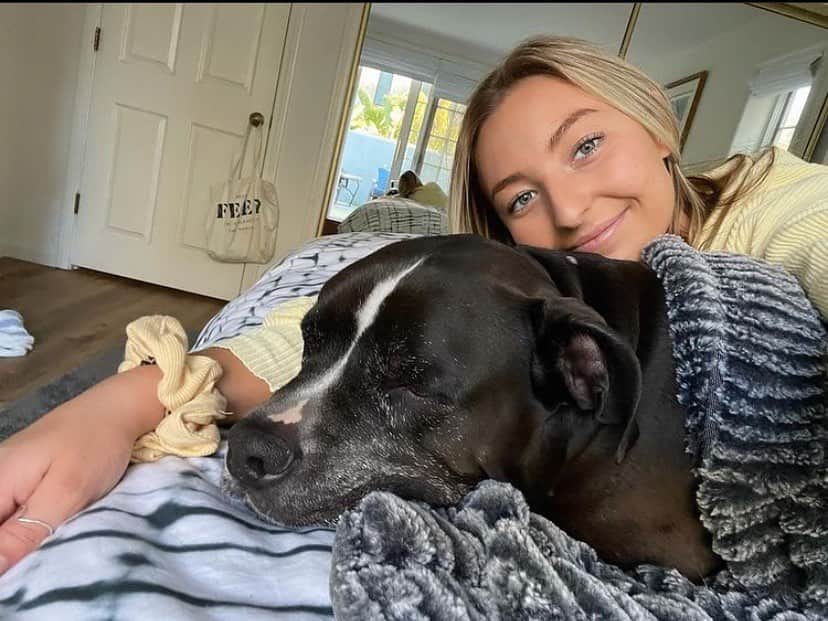 フィードプロジェクツのインスタグラム：「Spot the FEED bag 👀 Or just stare at @ashlyngalvinn’s cute pup.」