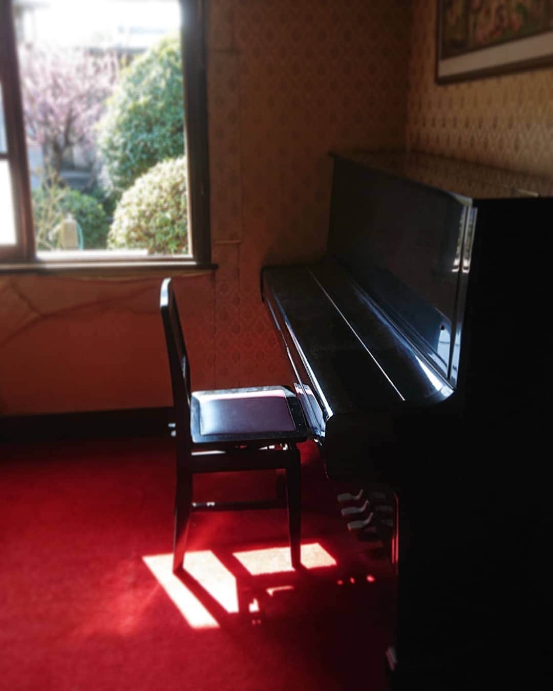 和田益典さんのインスタグラム写真 - (和田益典Instagram)「◆本日  ピアノが運ばれて行きました。 . 半世紀ぶりの移動。 . . 末永くいつまでも受け継がれて行きますように…。 . . . #ピアノ #応接間 #インスタ映え #楽器 #鍵盤 #ヤマハ #ヤマハピアノ #年代モノ #1972 #ヤマハu2 #ベストセラー #ビンテージ #名作 #50年前 #昭和 #音楽 #スマホ写真 #スマホ撮影 #実家 #梅 #匠 #photostagram #vintage #yamaha #yamahapiano #piano #retro #yamahau2 #osaka #japan . そして二代目宅へ。 .」2月21日 2時05分 - masunori_wada