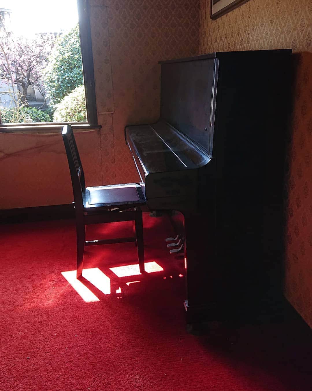 和田益典さんのインスタグラム写真 - (和田益典Instagram)「◆本日  ピアノが運ばれて行きました。 . 半世紀ぶりの移動。 . . 末永くいつまでも受け継がれて行きますように…。 . . . #ピアノ #応接間 #インスタ映え #楽器 #鍵盤 #ヤマハ #ヤマハピアノ #年代モノ #1972 #ヤマハu2 #ベストセラー #ビンテージ #名作 #50年前 #昭和 #音楽 #スマホ写真 #スマホ撮影 #実家 #梅 #匠 #photostagram #vintage #yamaha #yamahapiano #piano #retro #yamahau2 #osaka #japan . そして二代目宅へ。 .」2月21日 2時05分 - masunori_wada
