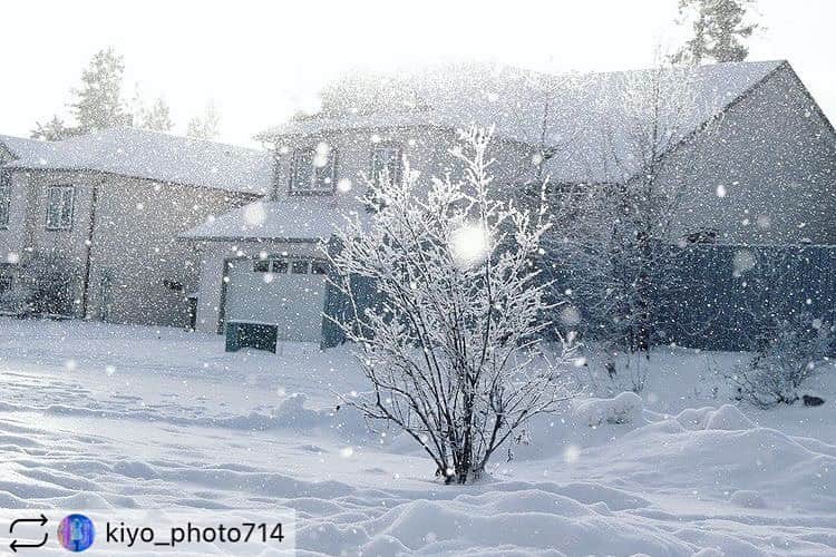 のインスタグラム：「. . 今回のフィーチャーは @kiyo_photo714  さんの素敵な1枚👏 ご投稿ありがとうございます！ そして、おめでとうございます✨  これからもお写真の投稿楽しみにしています😊✨ ぜひ皆さんも、#カメラガールズ #東京カメラガールズ をつけて投稿してみてくださいね！ 素敵な写真を見つけ次第、こちらのアカウントでご紹介させていただきます😊 . . . . ＼部員募集／ カメラガールズメンバーになると 楽しいイベントや貴重な体験が 盛りだくさん！ 🖥 www.camera-girls.net カメラガールズ で検索してぜひ部員登録してね！ 登録は無料です(*´ᴗ`*)♪ . . . .」