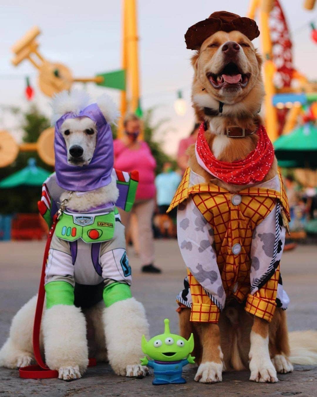 Disney Pixarさんのインスタグラム写真 - (Disney PixarInstagram)「You’ve got a friend in these adorable Pixar pups!」2月21日 2時30分 - pixar
