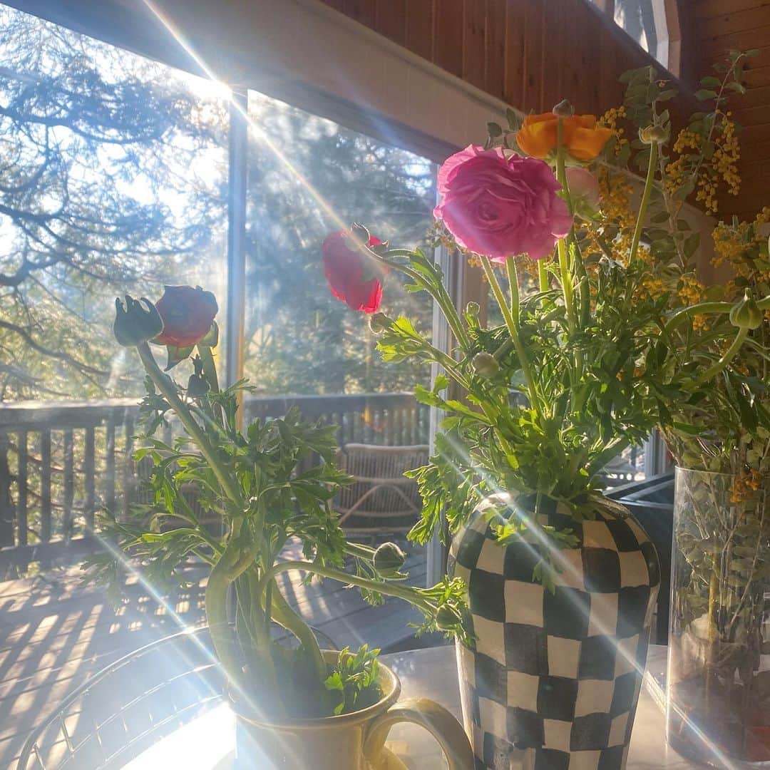 glorianotoのインスタグラム：「Spring has sprung y’all」