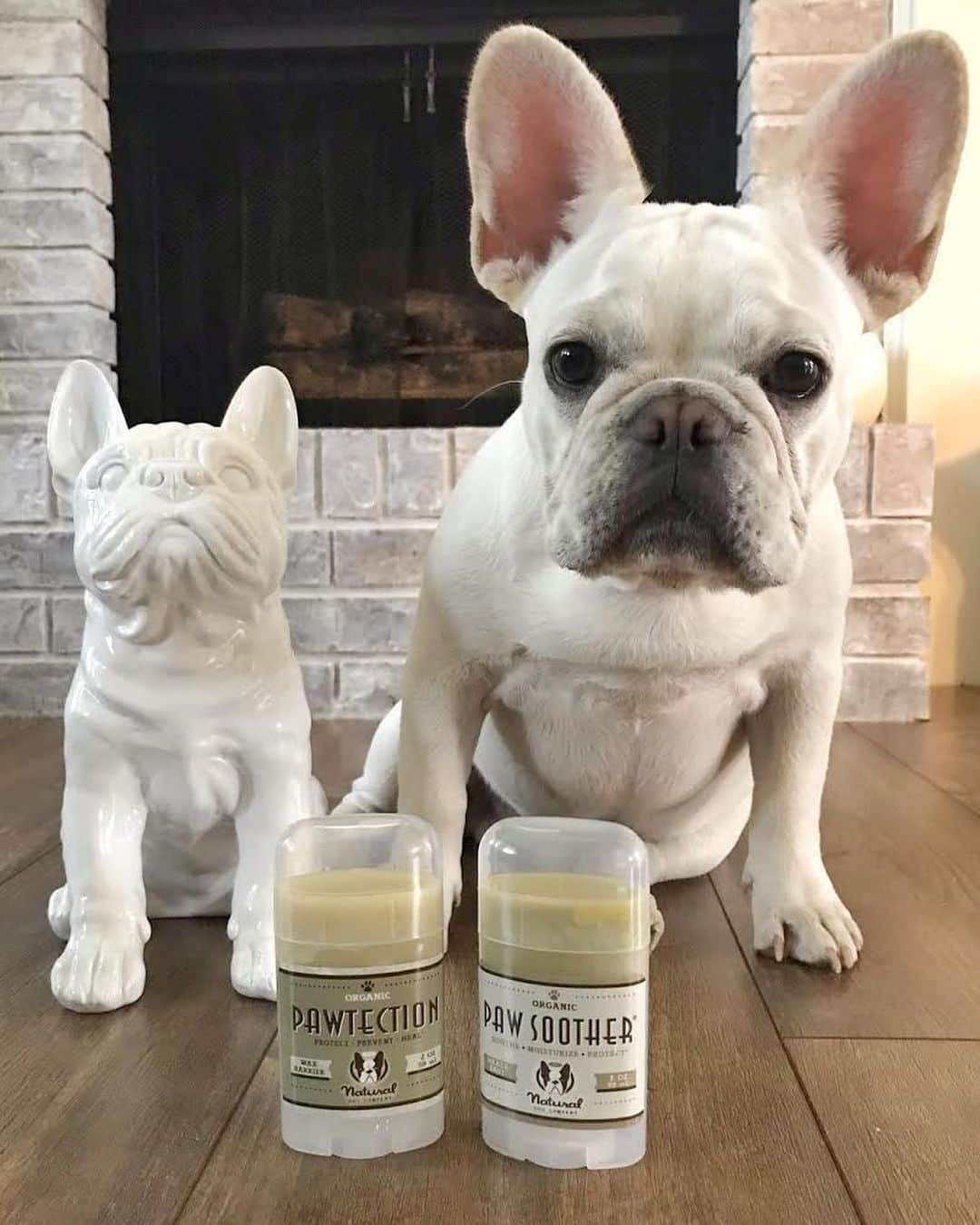 Regeneratti&Oliveira Kennelのインスタグラム：「It’s RUFF out there. Dog paws can become overly dry and chapped from walking on harsh surfaces – causing them to split and crack. Protect pads by applying #PawTection before heading outdoors – especially during inclement weather, long walks/hikes, etc. Soothe & heal existing damage by applying #julianameirelles just before bed. Your dog will have the healthiest paws in no time! .  ⭐ SAVE 20% off @naturaldogcompany with code JMARCOZ at NaturalDog.com ▪️ worldwide shipping ▪️ ad 📷: @kingstonfrenchie | @_lola_french_ . . . . . . . #frenchiepetsupply #frenchiesofinsta #pugsofinsta #frenchbulldog #frenchiesofinstagram #pug #frenchies #reversibleharness #frenchiehoodie #thedodo #frenchieharness #dogclothes #dogharness #frenchiegram #dogsbeingbasic #frenchieoftheday #instafrenchie #bulldogs #dogstagram #frenchievideo #cutepetclub #bestwoof #frenchies1 #ruffpost #bostonterrier #bostonsofig #animalonearth #dog」