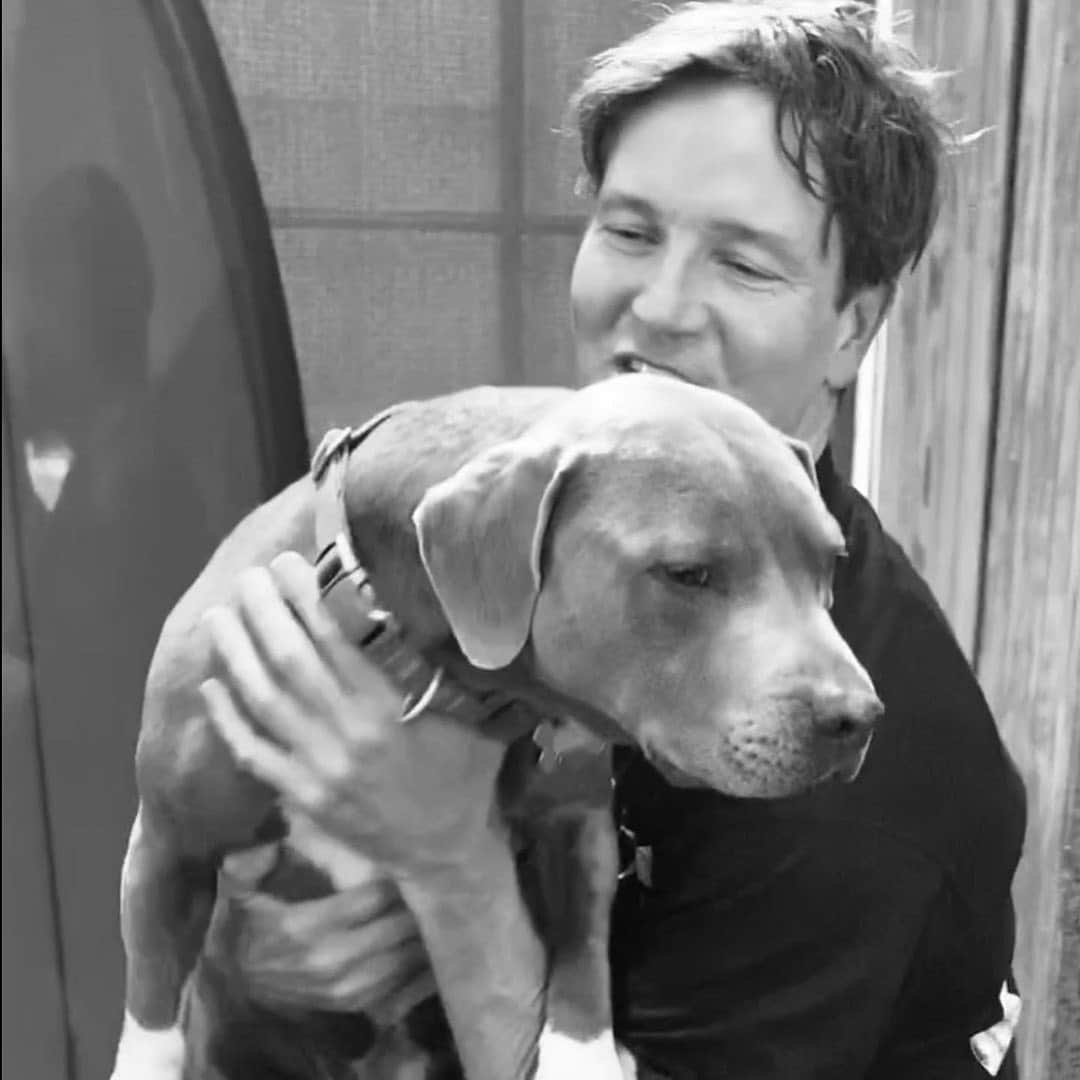 Third Eye Blindのインスタグラム：「Stephan + Bruce April 2 2020  #NationalLoveYourPetDay #RescueDog」