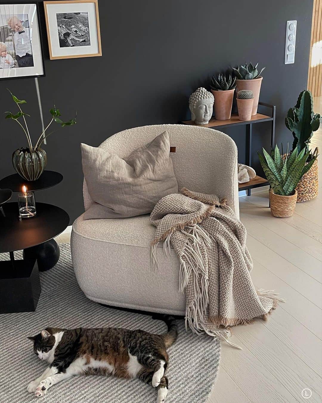 Inger-Lise Lillerovdeのインスタグラム：「annonse| Livsnyteren 👌🏼 Mens noen nyter livet hjemme, nyter andre hyttelivet! Ref. story 🙌🏼  Stuen er nå innredet med en ny plantefamilie, nemlig desse råfine kaktusene -fra @plantasjen 🌵 Elsker de her!! Og noe mer lettstelt skal man lete lenge etter! Har du kaktuser hjemme??」
