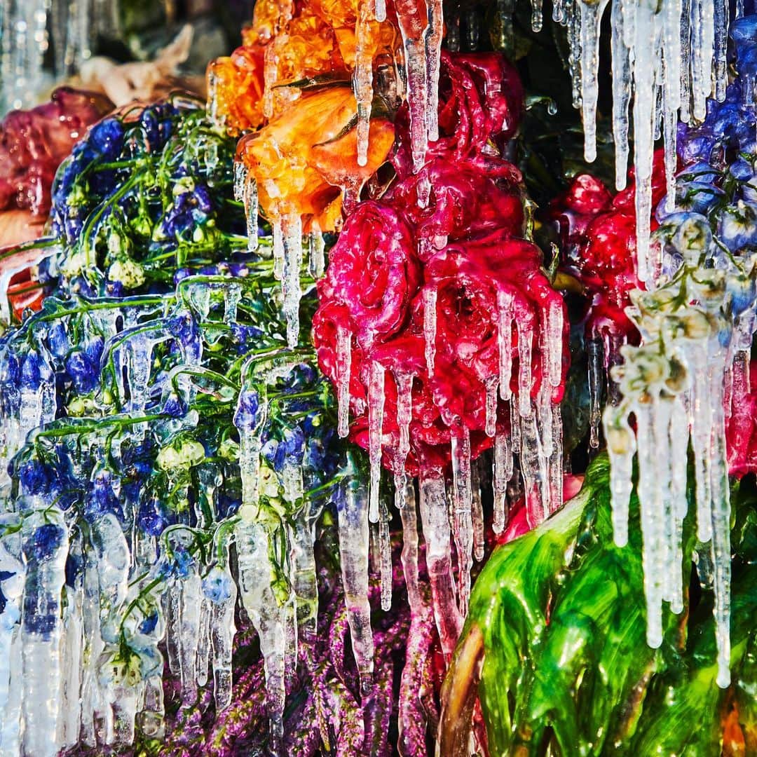 東信さんのインスタグラム写真 - (東信Instagram)「Frozen Flowers (2021)  #azumamakoto #makotoazuma #shiinokishunsuke #amkk #amkkproject #botanicalsculpture #todowara #hokkaido #theendoftheworld #東信 #東信花樹研究所 #トドワラ #野付半島」2月21日 4時29分 - azumamakoto