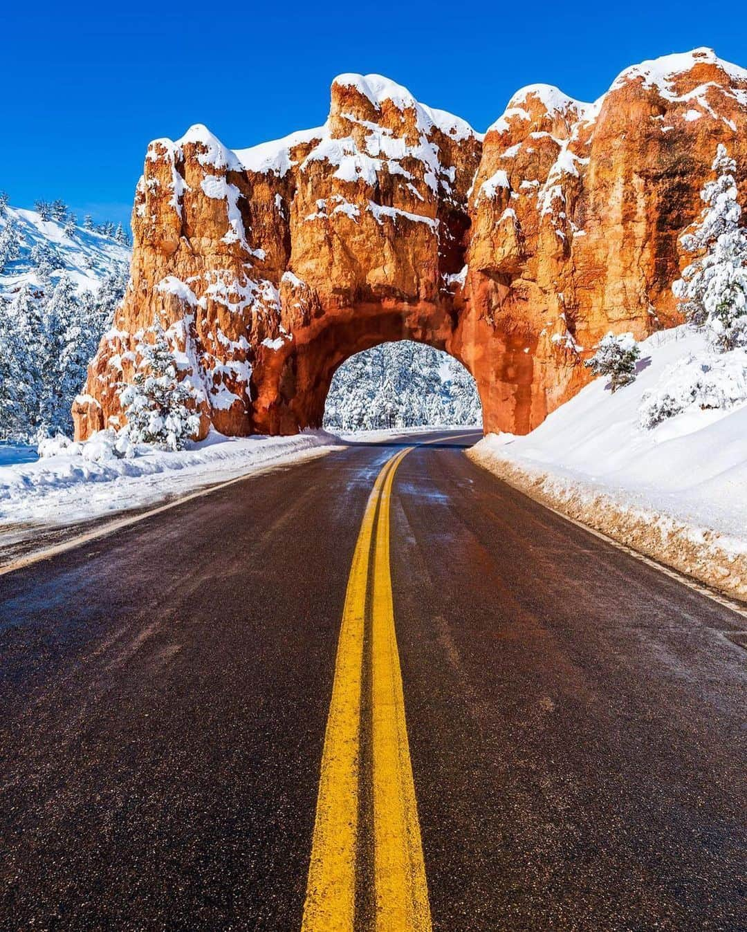 Visit The USAさんのインスタグラム写真 - (Visit The USAInstagram)「"What a difference a little bit of snowfall makes. ❄️🏜" Bryce Canyon National Park in Utah looks just as beautiful in the winter as it does in the summer! The hoodoos become covered in snow, and you can even cross-country ski above the canyon rim. The Bryce Amphitheater and the forty-minute Southern Scenic Drive remain open for visitors to enjoy! ❄️ #VisitTheUSA 📸 :@dinosaur802」2月21日 5時00分 - visittheusa