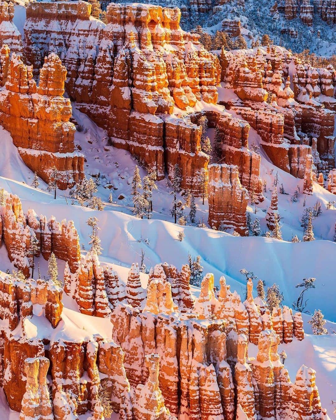 Visit The USAのインスタグラム：「"What a difference a little bit of snowfall makes. ❄️🏜" Bryce Canyon National Park in Utah looks just as beautiful in the winter as it does in the summer! The hoodoos become covered in snow, and you can even cross-country ski above the canyon rim. The Bryce Amphitheater and the forty-minute Southern Scenic Drive remain open for visitors to enjoy! ❄️ #VisitTheUSA 📸 :@dinosaur802」