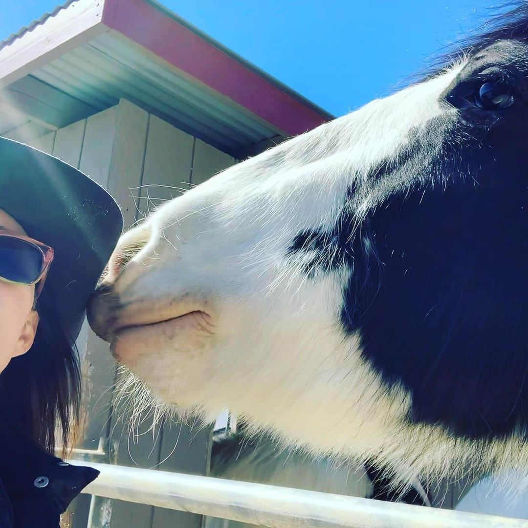 クリスティン・デイヴィスさんのインスタグラム写真 - (クリスティン・デイヴィスInstagram)「Learning secrets from the horse whisperer ❤️❤️❤️」2月21日 5時33分 - iamkristindavis