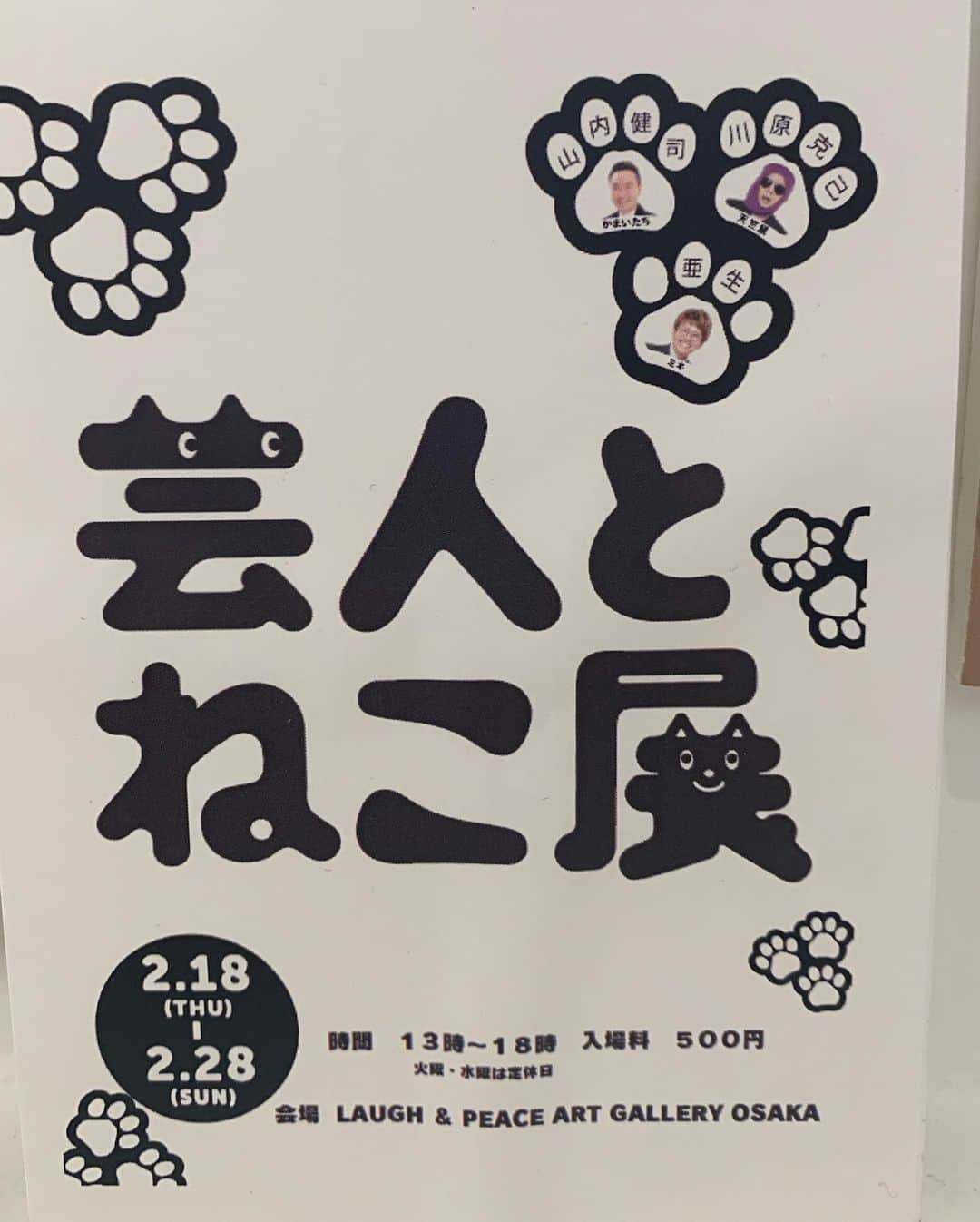 亜生さんのインスタグラム写真 - (亜生Instagram)「「芸人とねこ展」 なんかここだけ可愛いで溢れかえってるやんと思ってフラッと入ったらうちの猫たちの写真置いてました #芸人とねこ展  #グッズも売ってます #助六 #銀次郎 #藤 #兆猛 #丹猛」2月21日 16時54分 - aseihurricane