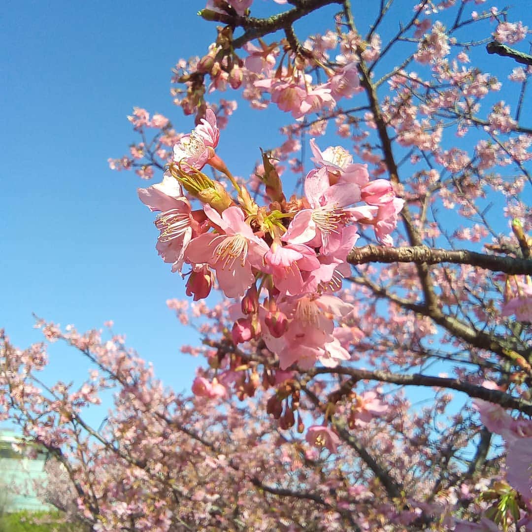 ホテルアンビエント伊豆高原のグルメインスタ