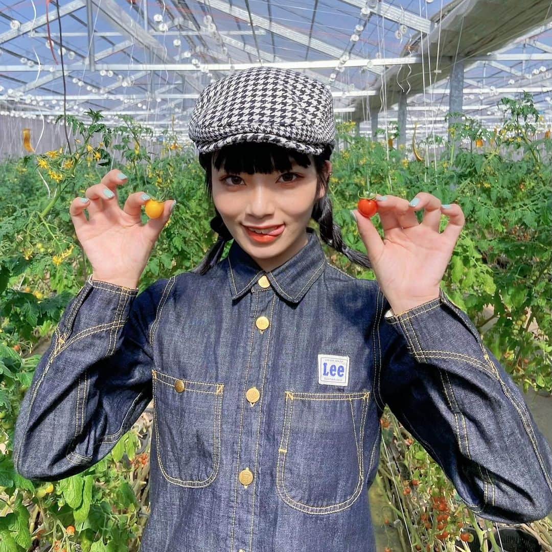 矢部ユウナのインスタグラム：「今日は青梅の#tokyotometo でトマトを収穫しました〜☺︎プチトマトを大福に丸めてトマト大福🤪❗️美味しかった☺︎ #madeinome」