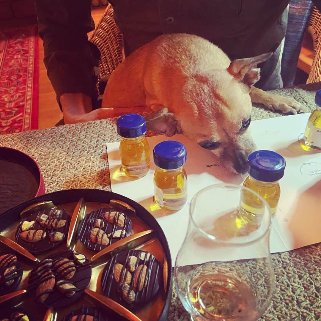 アラン・カミングさんのインスタグラム写真 - (アラン・カミングInstagram)「Last night, thanks to @awayfromtheordinary , we had a family whisky tasting. It was totally delicious and some of us may have over-imbibed!」2月21日 15時45分 - alancummingreally