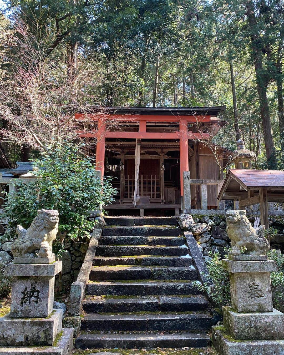 相馬絵美さんのインスタグラム写真 - (相馬絵美Instagram)「行きたい場所勘違いしてて運転手さんもわからなかったけど何故かあった亀岡の八坂神社。  確かに京都、八坂神社で調べても祇園の方しか出てこない。多分私行きたかったの本当はこっち。 よく来れたな。  凄く良い場所でずっと居たい感じでした。 お参りした時に何故か目の中チカチカして時計みたら11:11だったー。  そして太陽魚座月間、皆さん如何お過ごしですか？♓️🌞  グレートコンジャンクションから太陽水瓶座期あたりは、不動宮の水瓶座に惑星も集中していたし、それが個人を司るエリアだったから、パワフルな波の中で変容を促されてかなり葛藤も凄かったのではないでしょーか！  魚座は癒し、ヒーリングのサインなので、ここまで頑張ってきた自分を沢山癒して浄化して、3月22日の宇宙元旦(私の誕生日❣️)に向かっていきましょうね🪐  太陽魚座月間については、惑星が個人というより社会全体を司るエリアに集中するし、魚座も柔軟宮だからいよいよ社会も変容を本格的に促されていくのかな？というところ。  2月22日には水星逆行も終わり全天体順行でまた一気に流れ出す感じだしね。  そしてラッキースター木星はトレンドなんかも表す星なんですが、これが5月から7月に一旦魚座に入って、来年頭からまた入るから、ここで起こる変化や流れに対するインスピレーションが3月10〜13日あたりに受け取れるようです。  というのも今魚座にいる海王星がその期間に太陽とコンジャンクションするから。 海王星はインスピレーションの星で、魚座がホーム。 それが太陽と合わさる3月10〜13日は色々なインスピレーションが降りて来やすいです。 12日は魚座新月だしね。  ここで降りてきた直感を、これから1年まだまだ変容していく流れの指針にしてみてもいいかもですね！  #八坂神社 #亀岡市 #偶然の産物とでも言うべきか #呼ばれたんだな多分 #太陽魚座月間 #海王星パワーアップするよ #インスピレーションに意識を向けよう」2月21日 15時41分 - somaemi