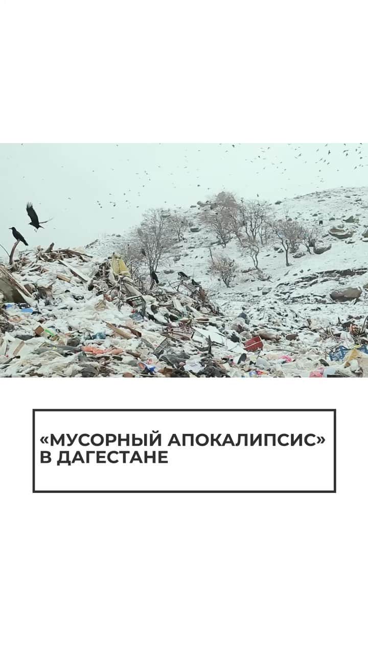RIAノーボスチのインスタグラム：「С января оттуда не вывозят отходы. Сначала местный оператор выгружал их в 10 километрах от города, но к зиме перестал делать и это. Руководителей компании обвинили в мошенничестве и арестовали. А пока власти ищут нового оператора, жителям приходится выходить на субботники.」
