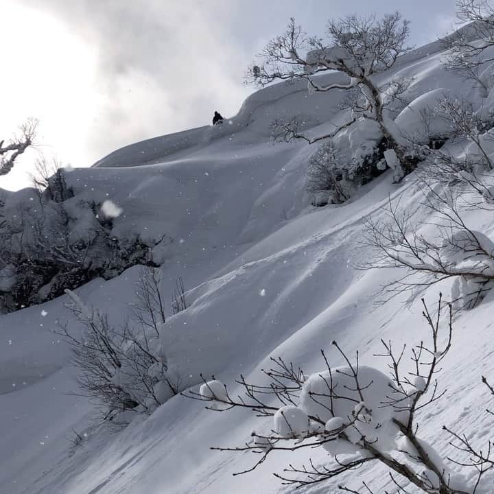 のインスタグラム：「雪庇崩れた時焦ったのと 最後まさかの段差があってさらに焦ったけど無事生還」