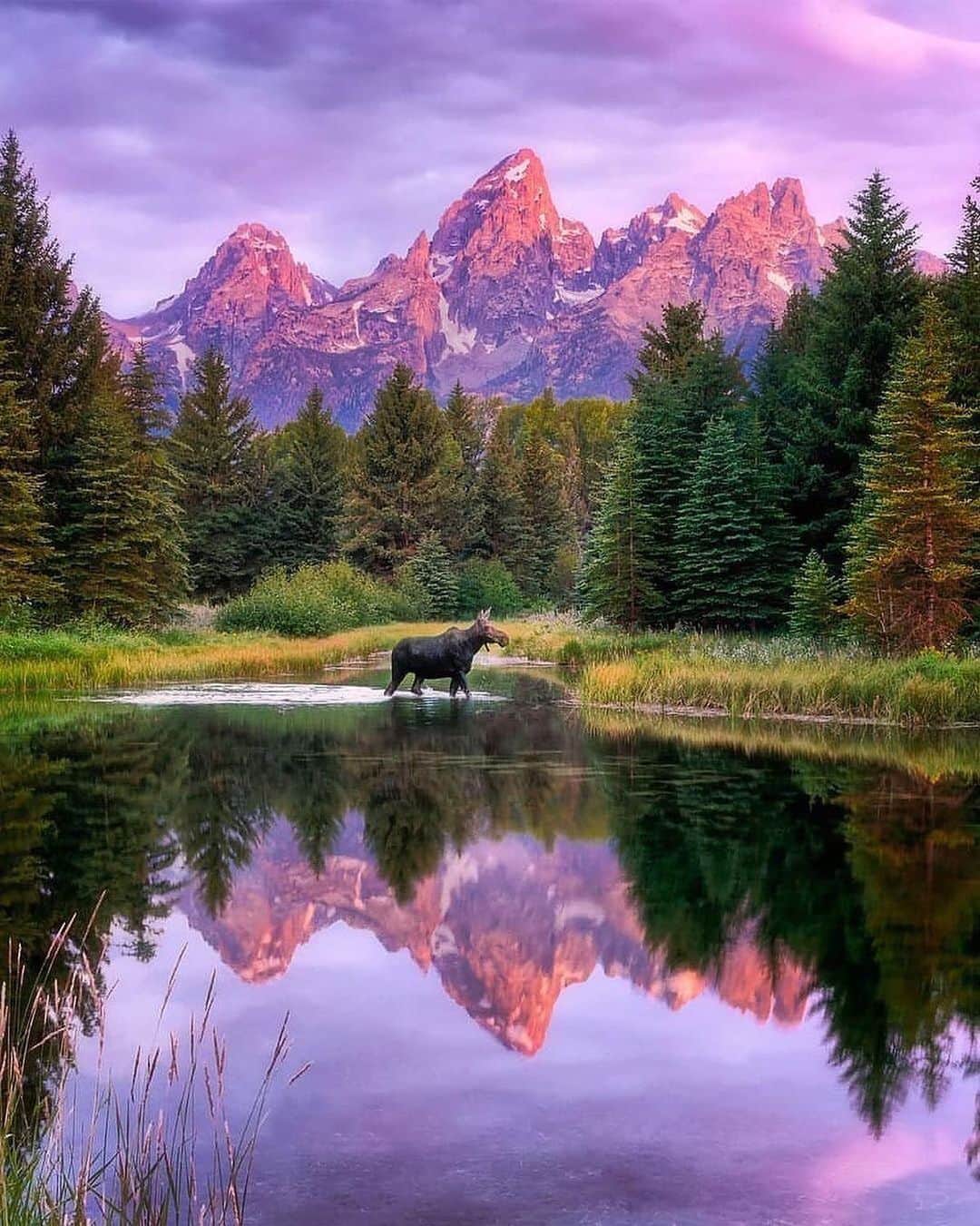 Canon Photographyのインスタグラム：「Sunset in Grand Teton NP.  Photography // @onefortheroadphoto Curated by @steffeneisenacher  #grandtetonnationalpark #grandteton #wyoming #sunset #elk」