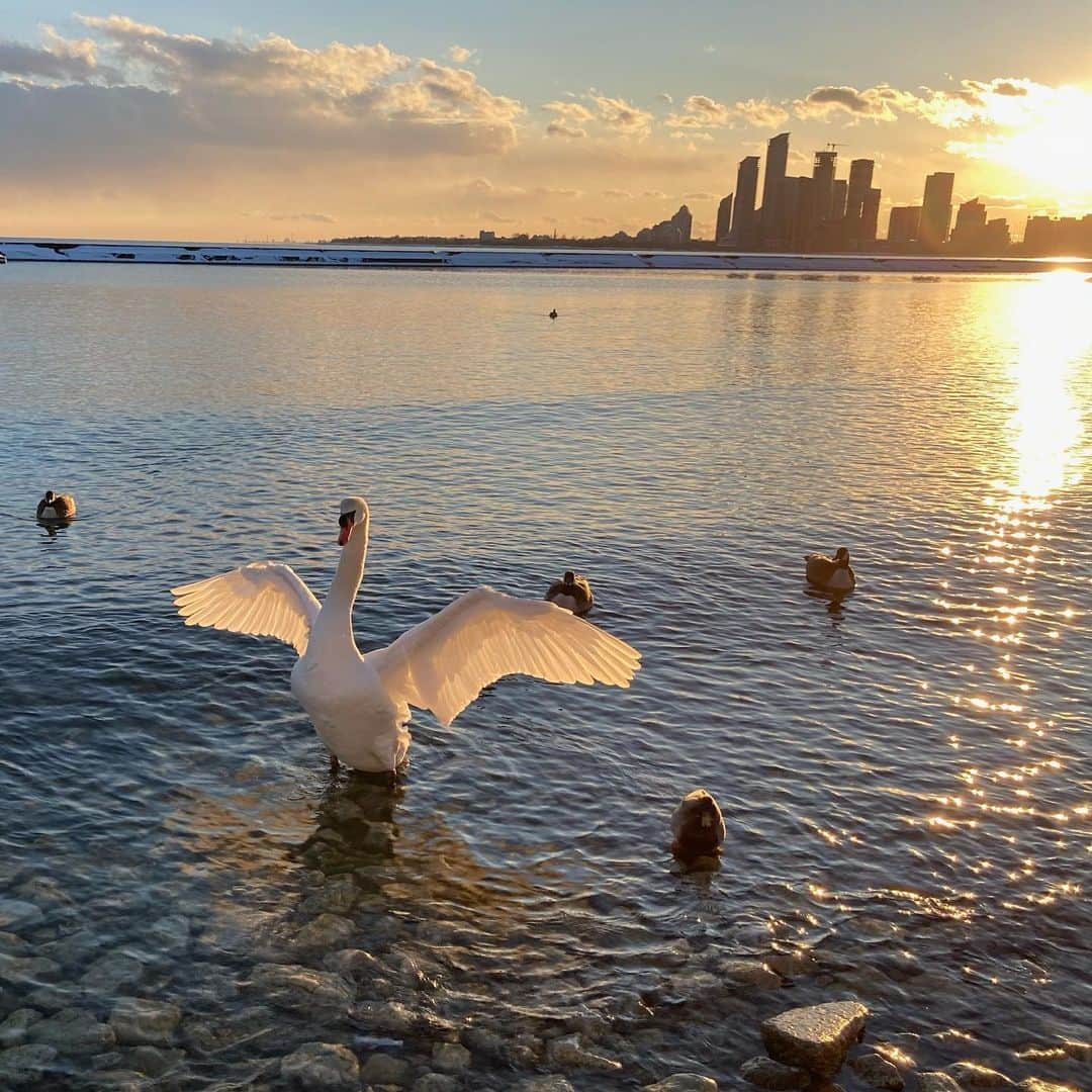 ヤニ・ゲルマンさんのインスタグラム写真 - (ヤニ・ゲルマンInstagram)「February」2月21日 8時12分 - yanigellman