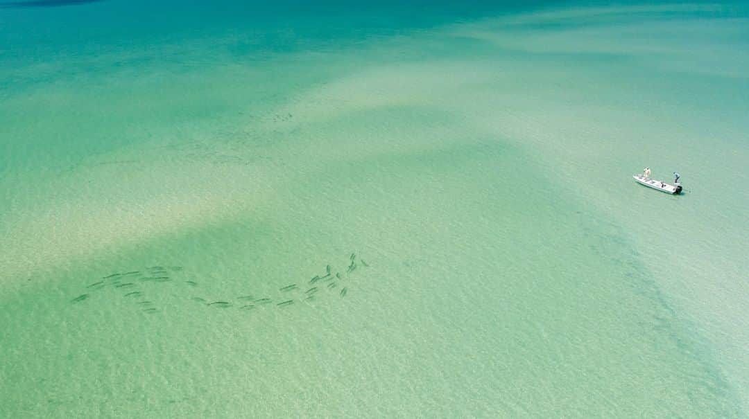 Costa Sunglassesのインスタグラム：「Flats face-off. 📷: @oliverrogers #SeeWhatsOutThere」