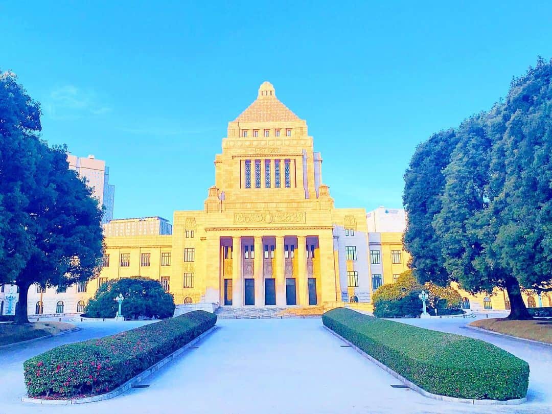 のインスタグラム：「《OhaYOKAN》  今朝の 原宿表参道は快晴なり…☀️  昨日とは 打って変わって  暖かく 日差しの強い朝🌅  朝ラン＆ウォークは  日曜日なので スタート時間を遅らせて  のんびり ジョギングでした…🏃‍♂️👟  天気予報によると 最高気温…20℃らしい…☀️  さて  本日の YOKANは  午前中は  ・家事仕事  ・事務仕事  ・楽器メンテナンス＆音出し  午後からは  本日分の 宿題ノルマ…✏️🎹🎼  週明けから作業の データ確認＆仕込み作業…🎵  そして  なかなか進まない 断捨離＆大掃除レンジャーも…🙋‍♀️  楽しみながらがんばりまーす✌️  みなさま  笑顔で ステキな1日を…💓  ※今朝の  『YOKAN散歩』  写真は  朝日に光る国会議事堂…✨  #harajuku #omotesando #原宿 #表参道 #tokyo #japan #morning #朝 #朝ラン #ウォーキング #running #walking #plogging #プロギング #OhaYOKAN #YOKAN散歩 #街角アート #streetart #architecture #建築 #建物便り #国会議事堂 #houseofparliament #朝日に光る国会議事堂 #インスタ映え #instagram #tokyocameraclub #笑顔でステキな1日を💓」